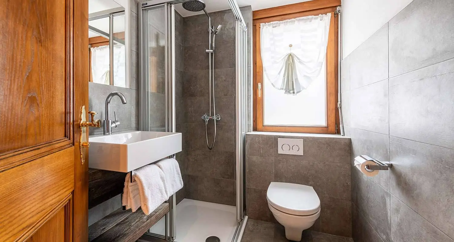 Swiss Double Room bathroom with shower