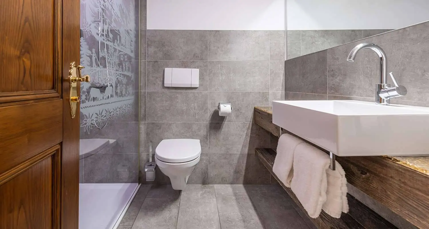 Swiss Double Room Plus bathroom with shower