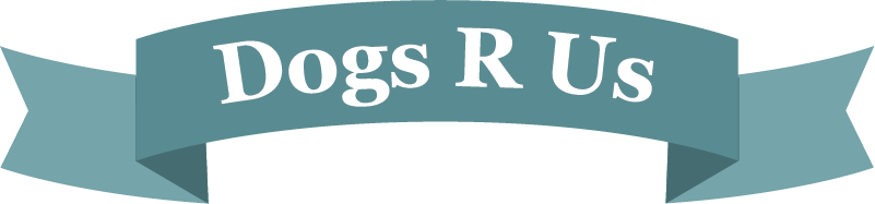 Dogs R Us Collingwood dog daycare in Collingwood Ontario