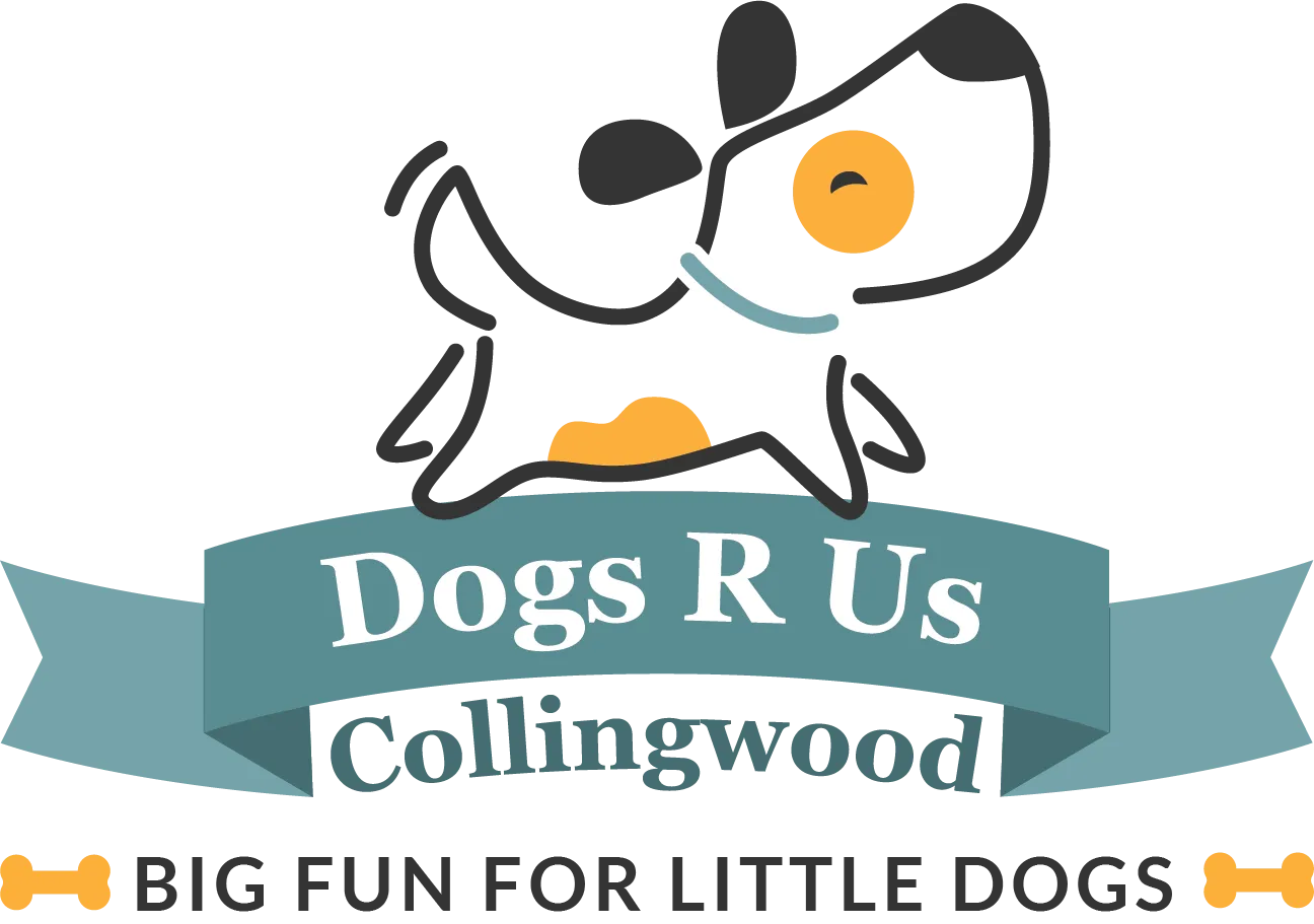 Dogs R Us Collingwood dog daycare logo