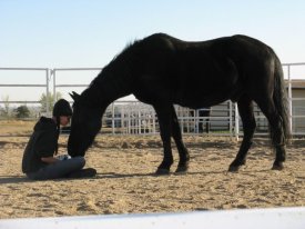 A quiet forehead-to-forehead moment between a person and a horse