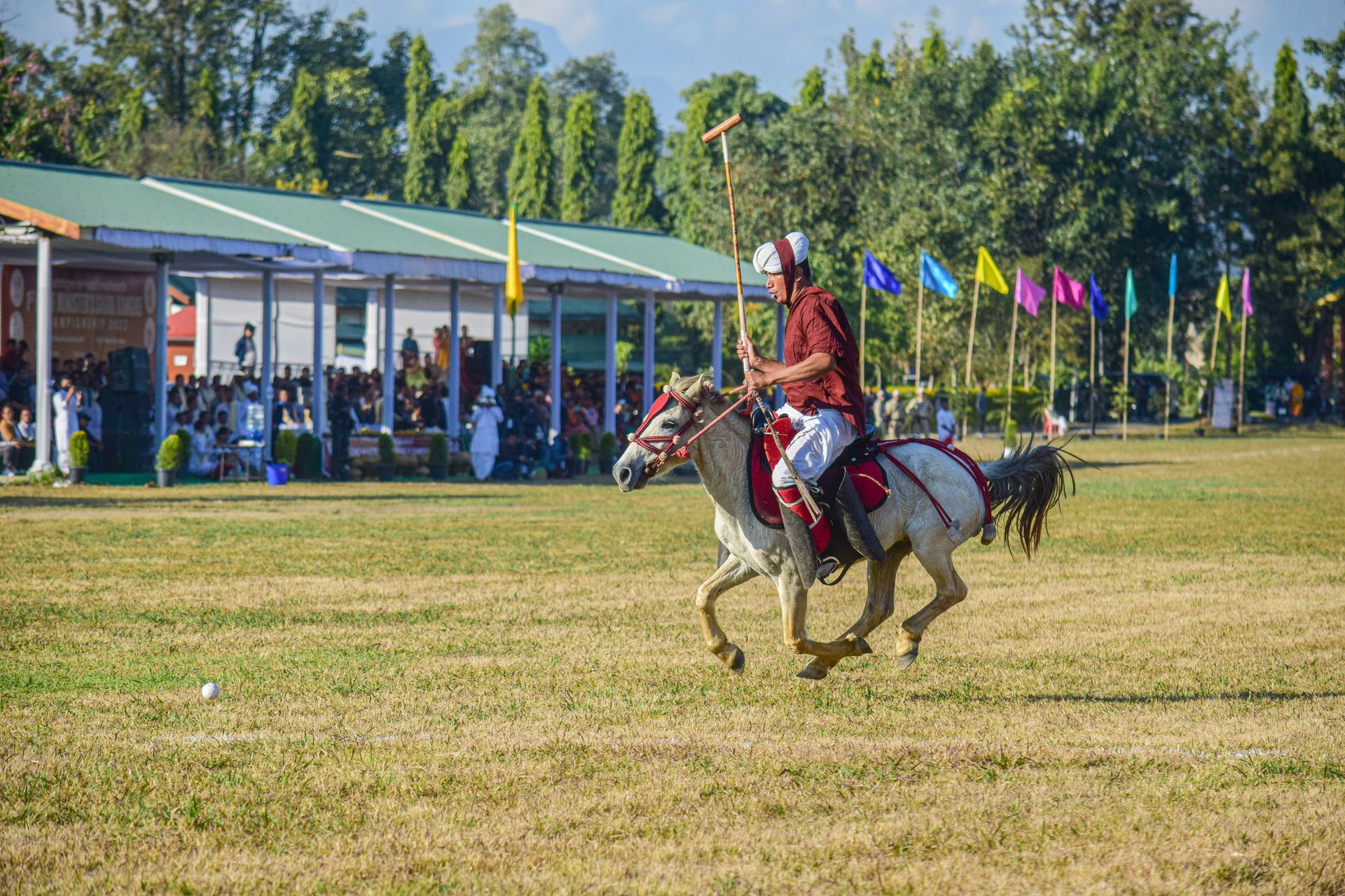 Polo player and horse at a gallop on the field