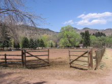 Quiet paddock gate