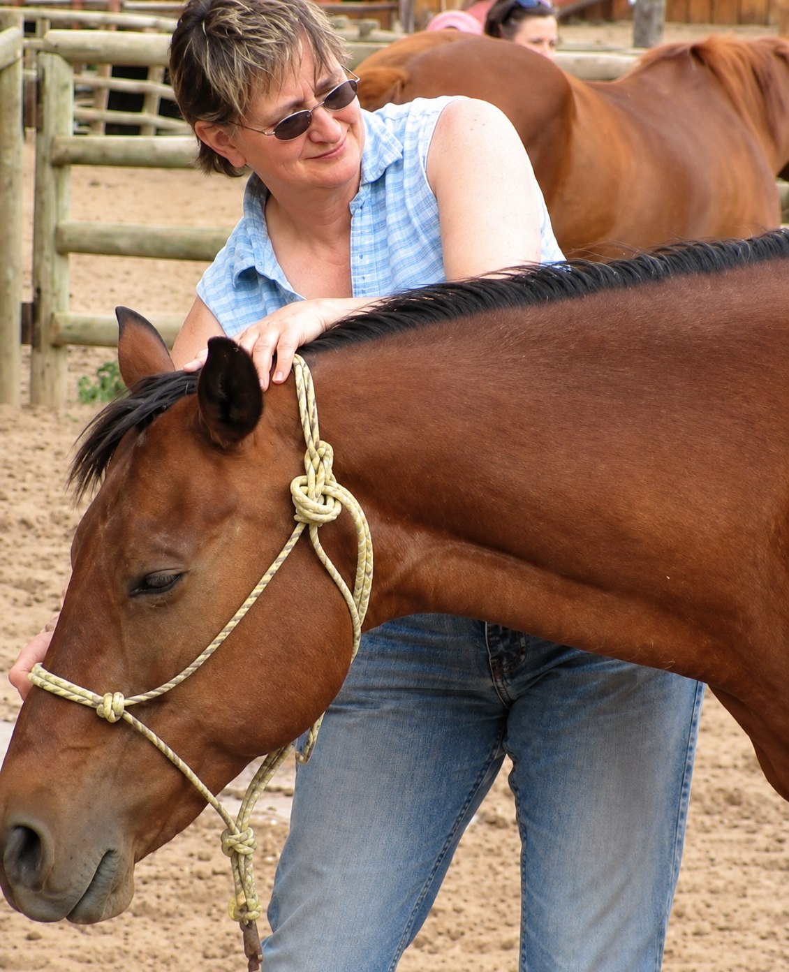 A woman petting a calm bay horse