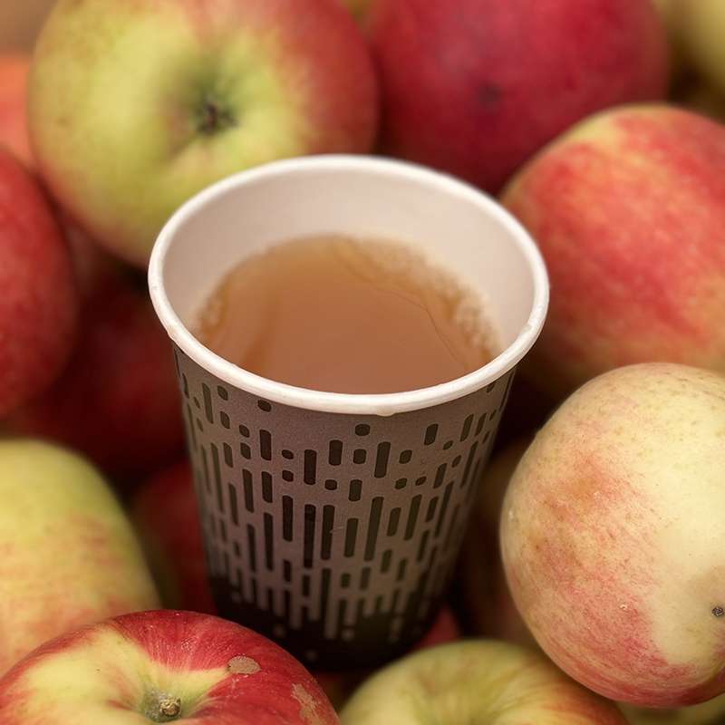 Excess apples for Mulmur Cider Co