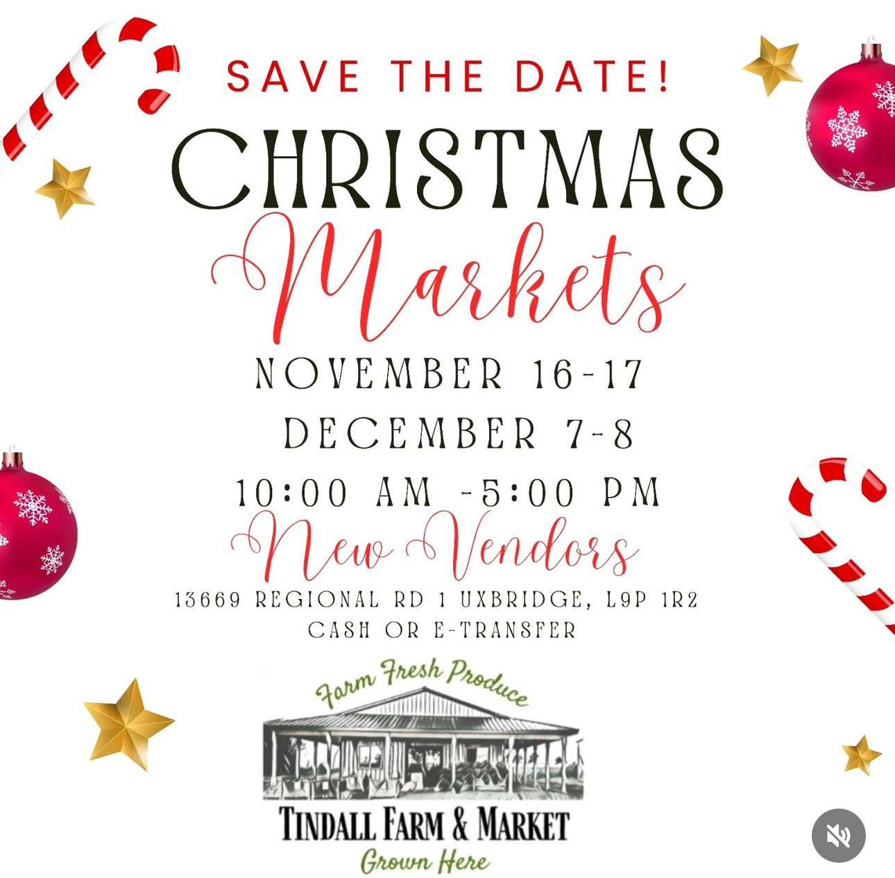 Holiday market poster for November 16–17, 2024