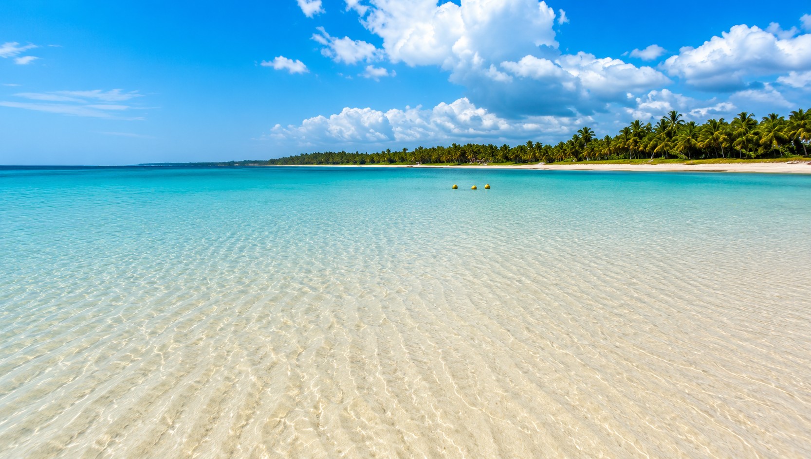 Clear turquoise water and palm-lined beach at Diani