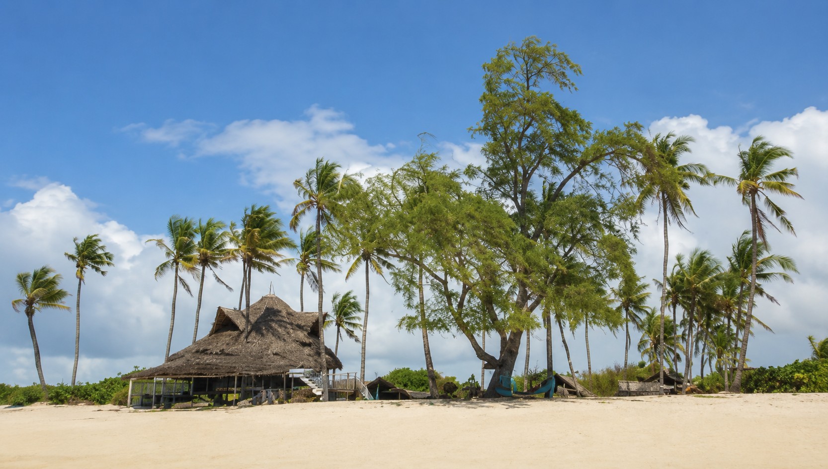 Palm trees and a traditional thatched beach shelter beneath a bright blue sky on Kenya's South Coast