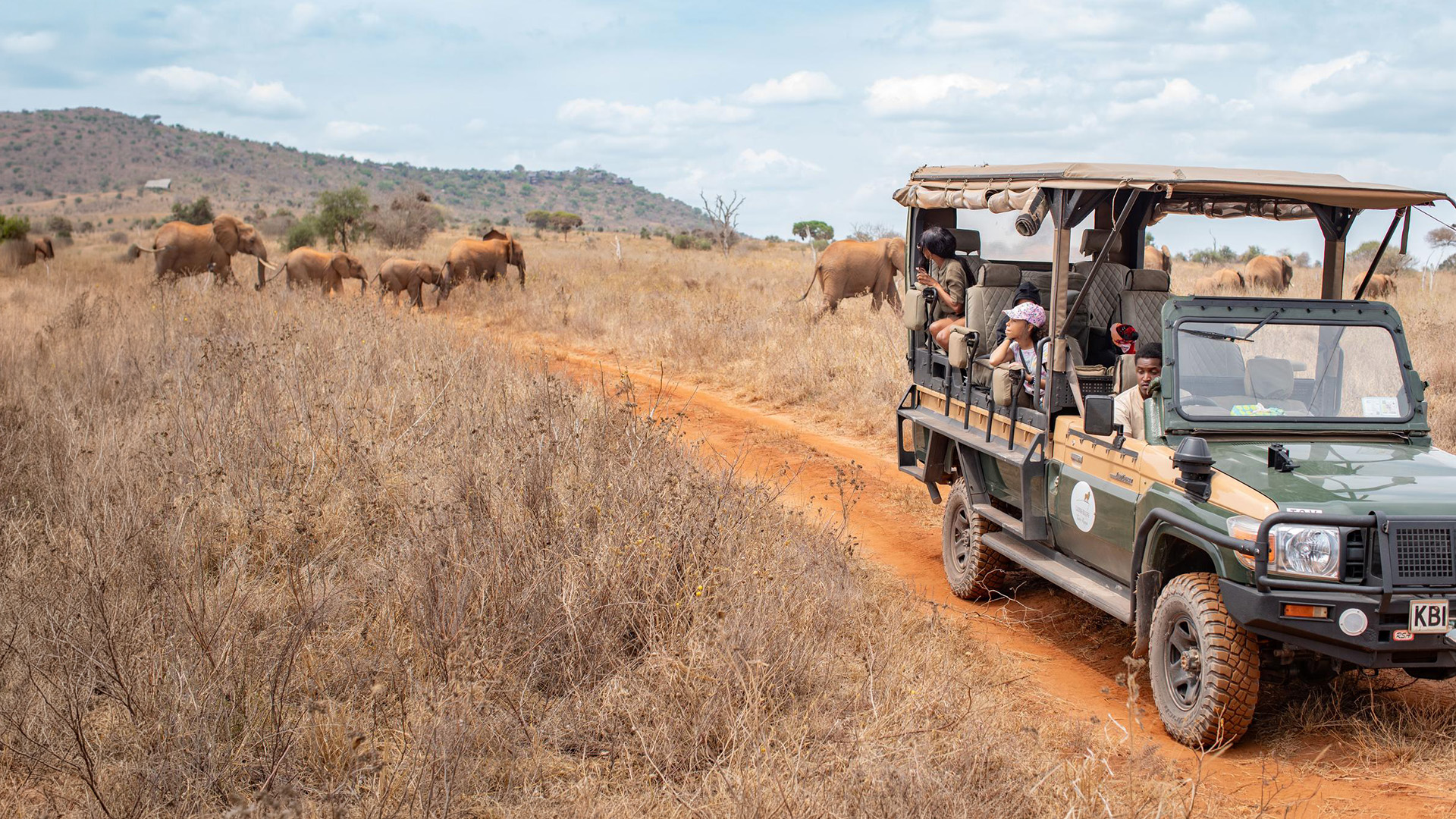 Safari vehicle with guests watching elephants cross a dry savanna track