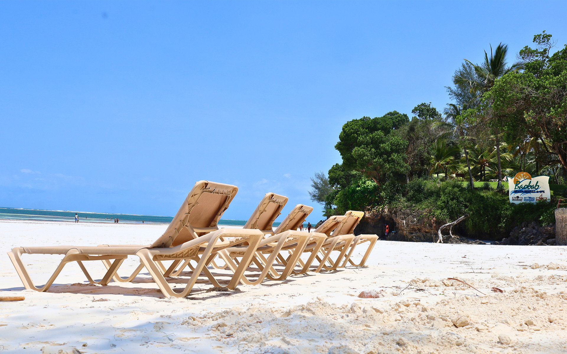 Tropical resort setting at Baobab Beach Resort, Diani