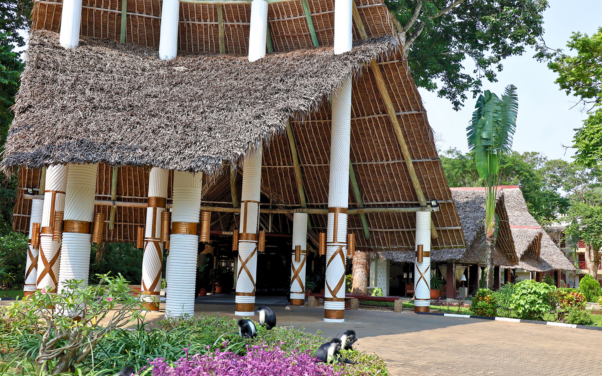 Baobab Beach Resort pool and beachside leisure area