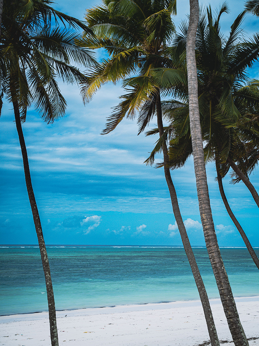 Tropical beach with white sand, palm trees, and turquoise water
