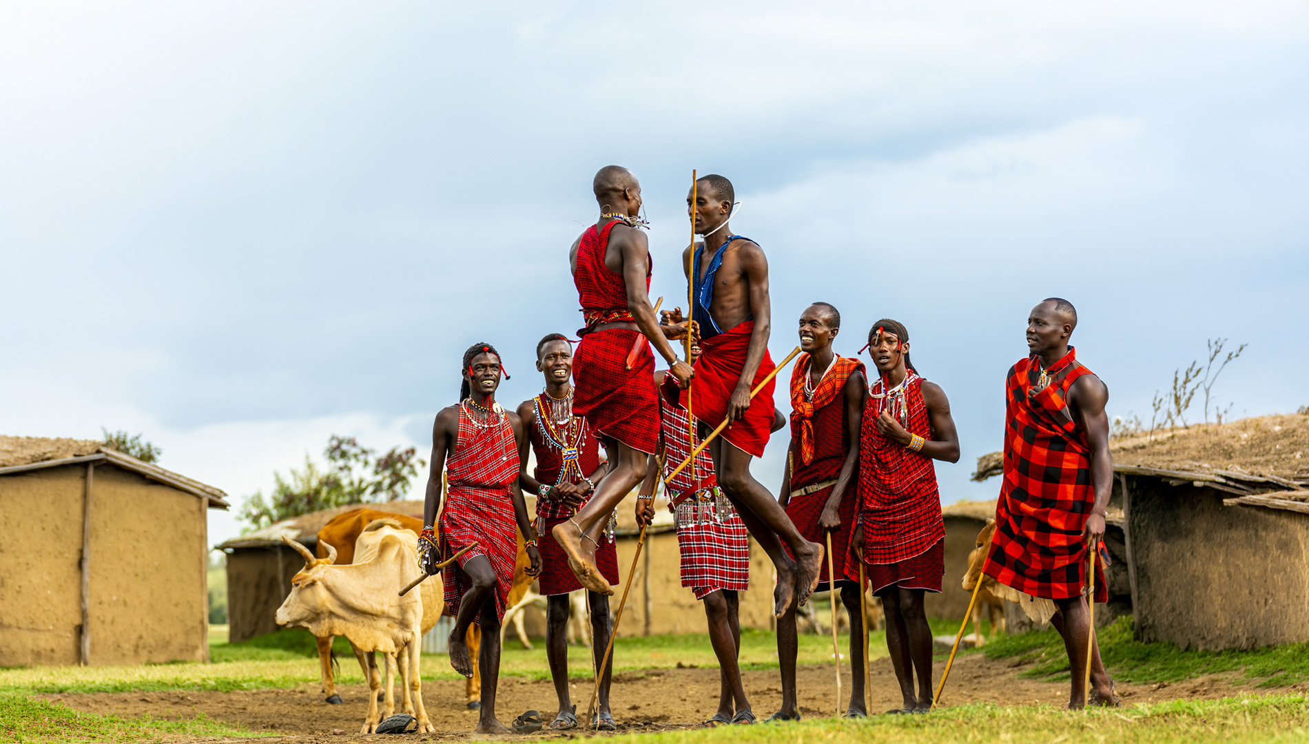Maasai warriors performing a traditional Adumu jumping dance in a Maasai Mara village