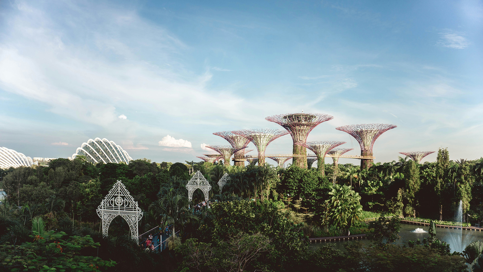 Gardens by the Bay Supertree Grove and conservatory domes under a blue sky