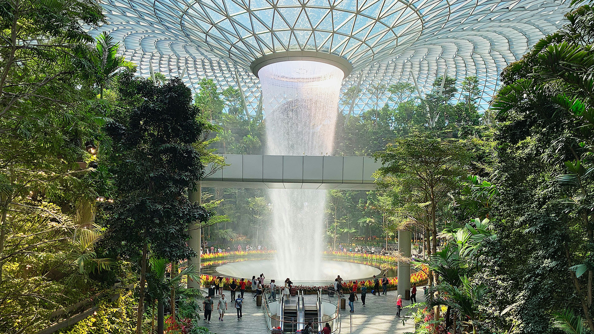 HSBC Rain Vortex indoor waterfall at Jewel Changi Airport surrounded by greenery