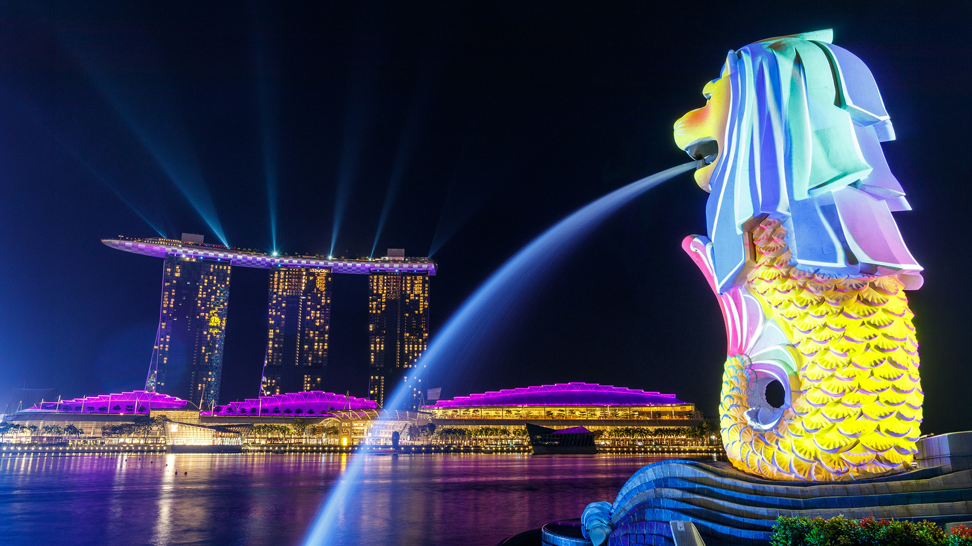 Illuminated Merlion fountain with Marina Bay Sands lit up at night