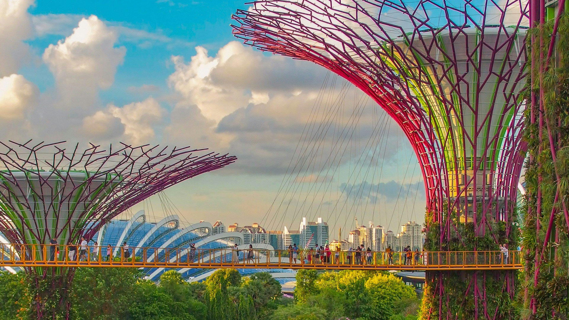 OCBC Skyway and Supertrees at Gardens by the Bay with visitors on the walkway