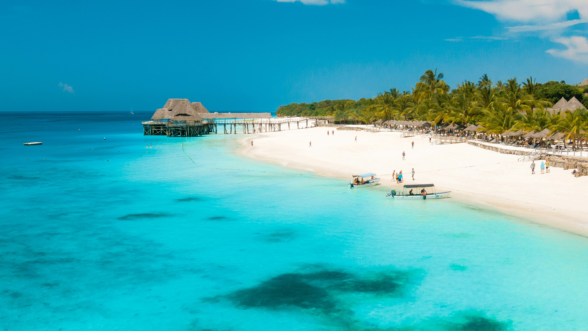 Aerial view of a palm-lined white-sand beach with an overwater thatched pavilion