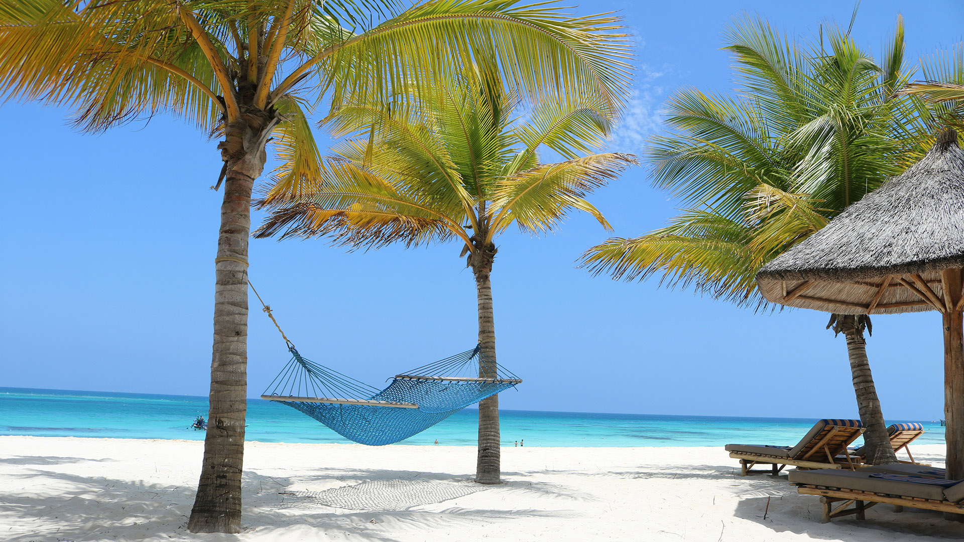 Blue hammock and thatched beach umbrella under palm trees on white sand